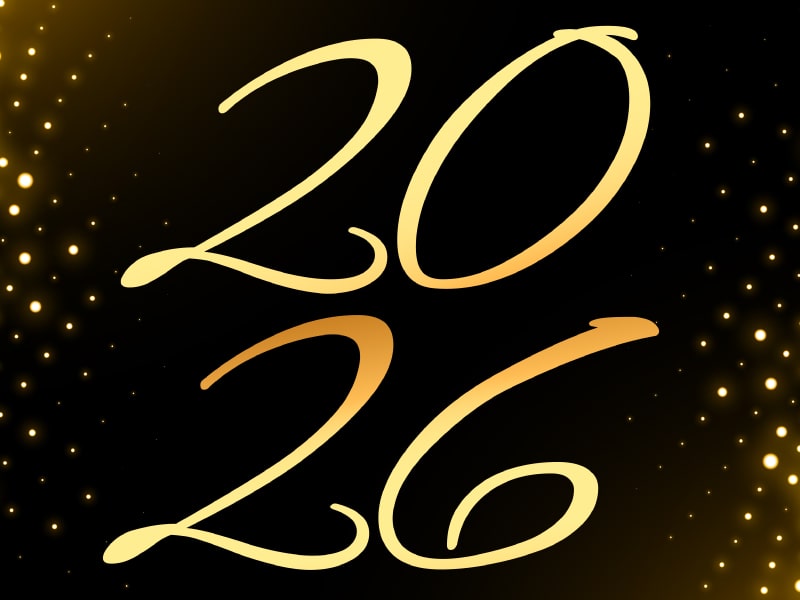 Año Nuevo viajando en micro