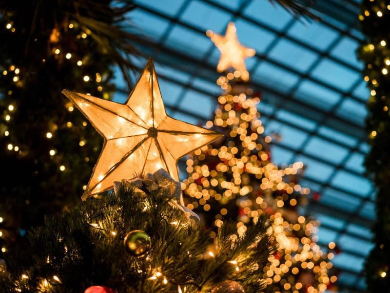 Navidad 2025 - Pasajes de micro