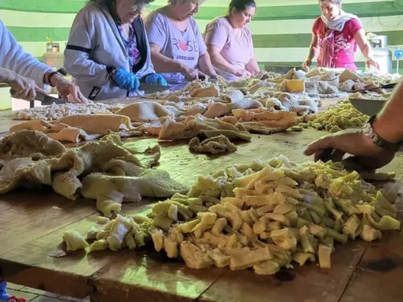 Fiesta Nacional del Mondongo y la Torta Frita - 2026