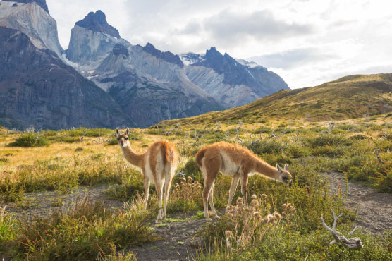 Pasajes de Buenos Aires a Tucumán