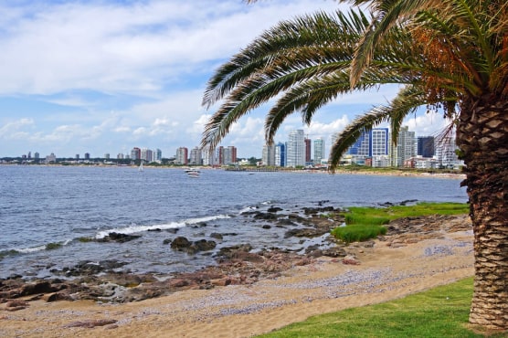 Pasajes en micro a Uruguay